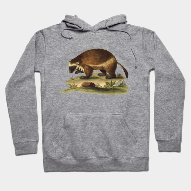 Vintage Illustration of the Honey Badger Hoodie by Naves